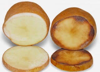 batata_acrilamida_reduzida