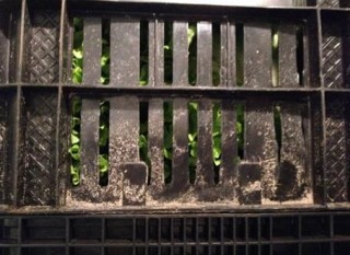 caixa_hortifruti