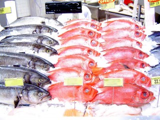 pescado_rastreabilidade