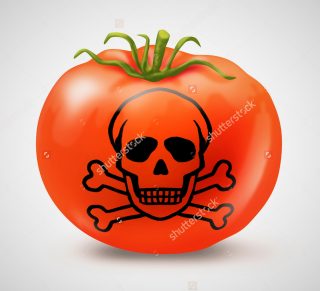 shutterstock