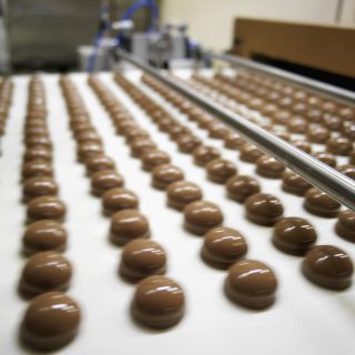 Trays of chocolate biscuits on a production line in a factory
