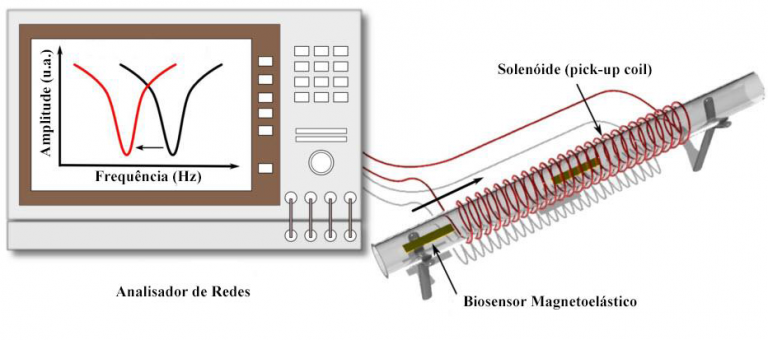 fig2