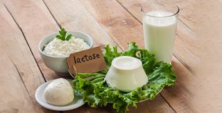 lactose