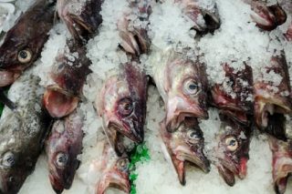 qualidade pescado foodsafetybrazil