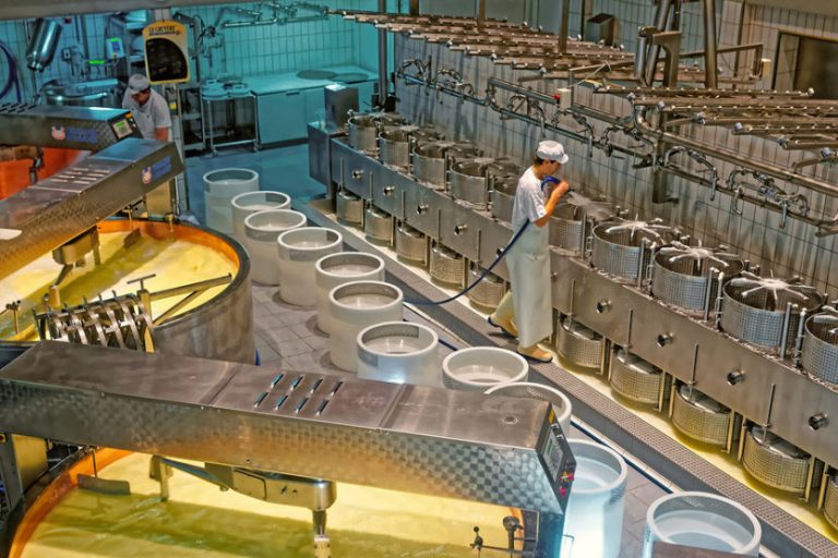 manipulador de alimentos