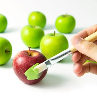 fraude alimentos foodsafetybrazil