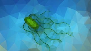 Salmonella 1