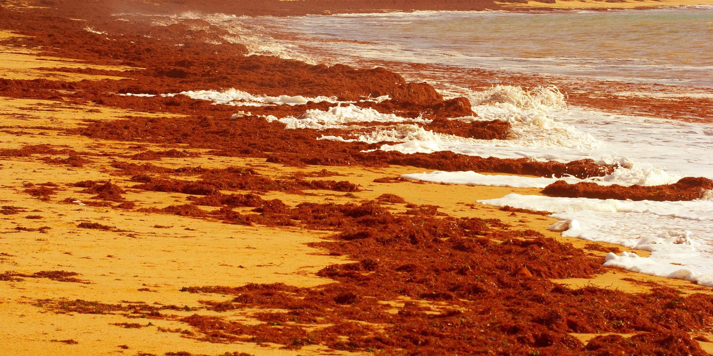 mare vermelha